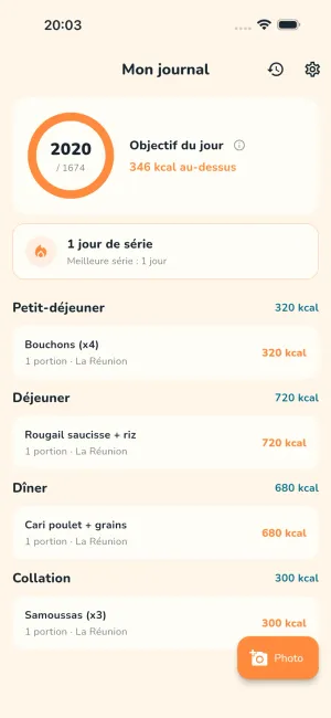 Écran Journal de Dodo Kal avec des repas fictifs ; le rappel quotidien est lié à ce journal